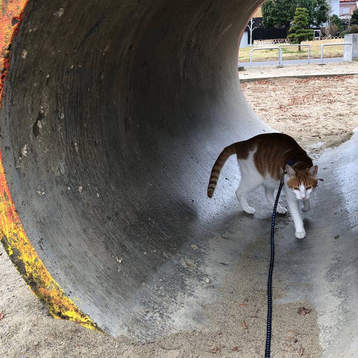 F9ab9d3f 4178 4e89 b584 e11a9fbf8841 1542872526406