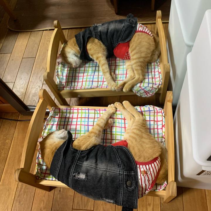 F9abbd79 b3d3 45a3 a9d6 e8b40117c53e 1624275550416