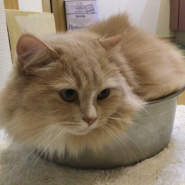 F9abc55a b9a8 4719 a942 6f0292cb59ba 1631274717120