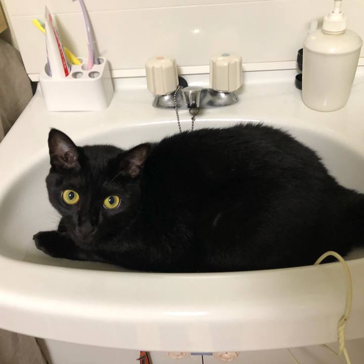 F9abe7d0 72cc 4861 9252 56e077f07615 1533601143744