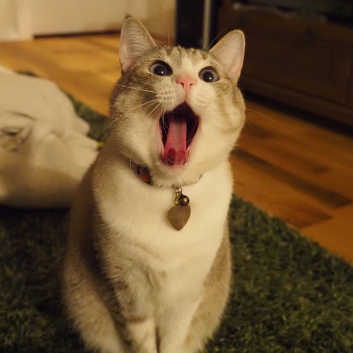 F9abfaaf c787 466c a465 85bb8b0b9545 1616671231207