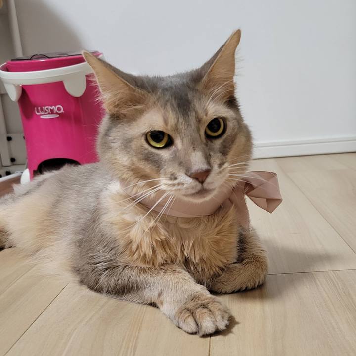 F9ac216f 2513 4ed7 bd47 0d18b270420f 1642259806682