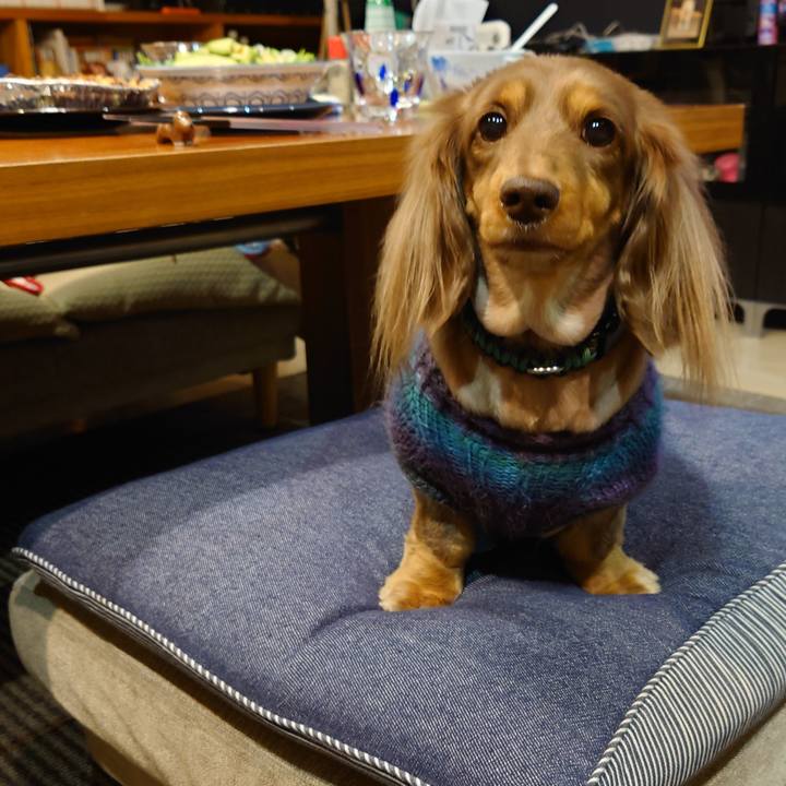 F9ac5877 ed6b 4ea7 83b7 e350374bbf15 1671886045482