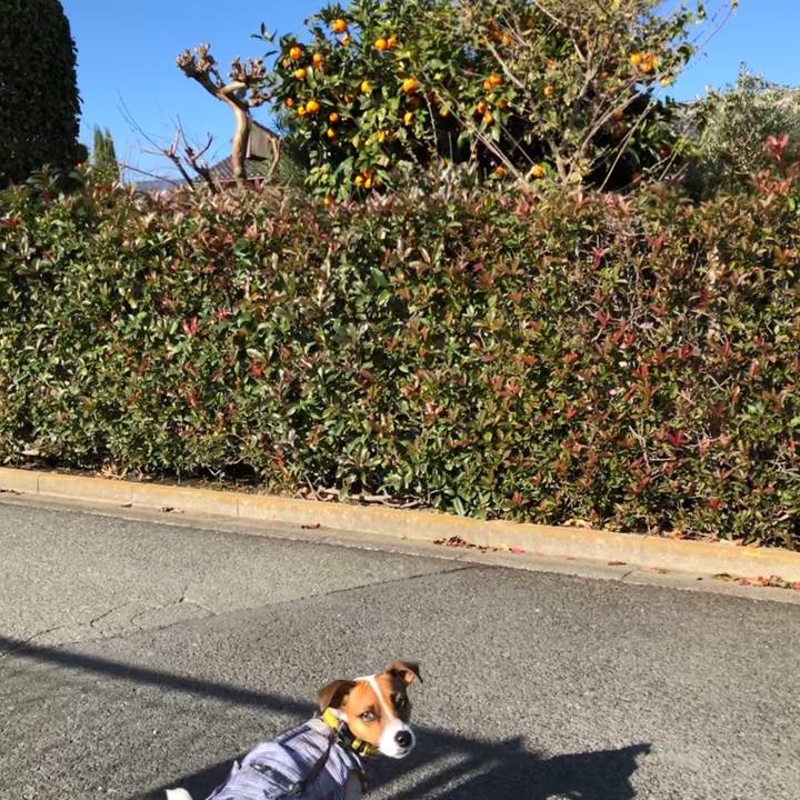 F9ac696b 6bd6 4d73 8f65 56478b421d37 1544670578619