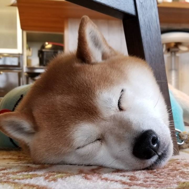 F9ac98f2 5470 4612 9795 79c27214460b 1584487667636