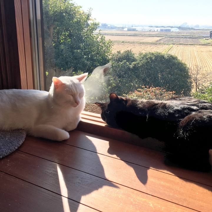 F9acb665 097a 4732 8774 095d5a92d1de 1541463854270