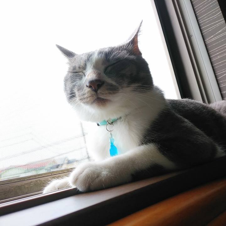 F9acc1ea ca8c 4afa ac98 eb4854504a7f 1593127249641