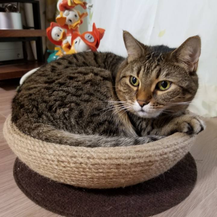 F9acc7e4 4e6e 40cd abb1 19cc1b93391e 1603227688947