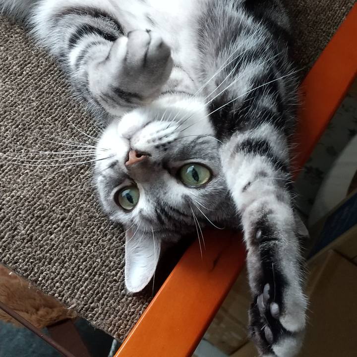 F9acecb0 9eaa 4854 8f30 1060ceb1ca0f 1621677948799