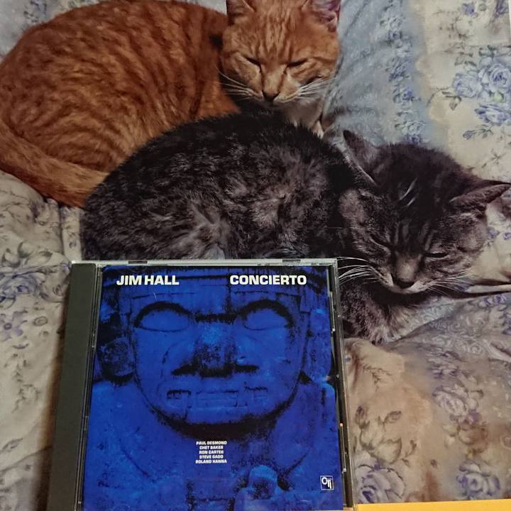 F9ad223b 6b89 4a16 a1bb 882addae600f 1620214691916