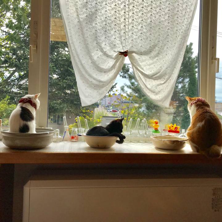 F9ad22ff e5e7 4c5b b43c d25f4acd5539 1569110747271