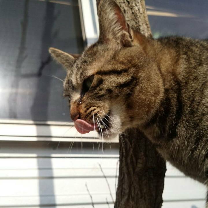 F9ad3f54 7afb 4754 b912 01a0e14fd06b 1522288865429