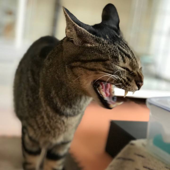 F9ad5484 30f1 4ab9 9209 b24e6b24bc61 1508979587838