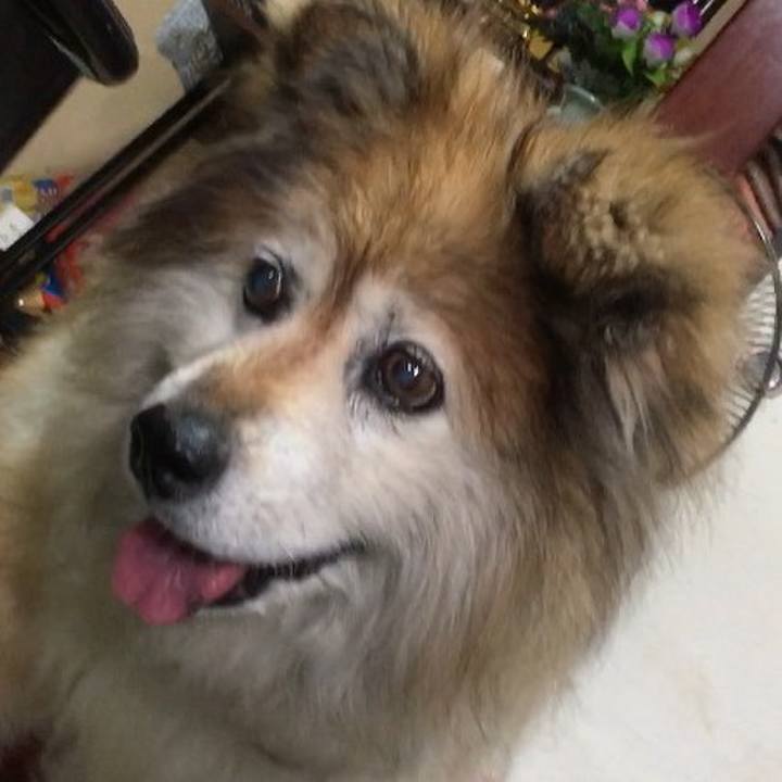 F9ad7d8f 2da9 4013 87bd 1be791b4a6f9 1578794790224