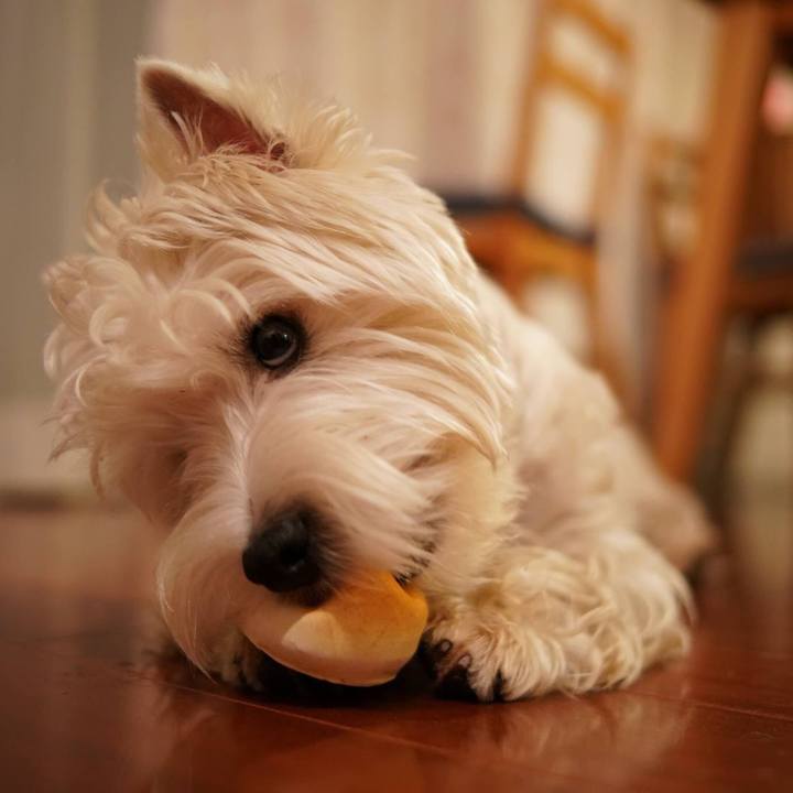 F9ad7eda c7c3 4585 9139 d49802797c90 1516057359103