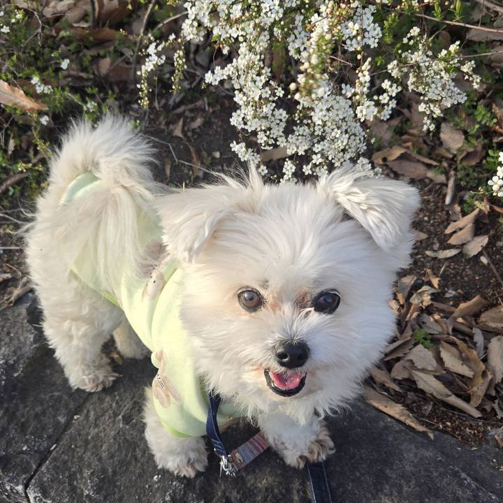 F9ad8e7c a613 47ea a9f5 4e687eb4397f 1773665092139