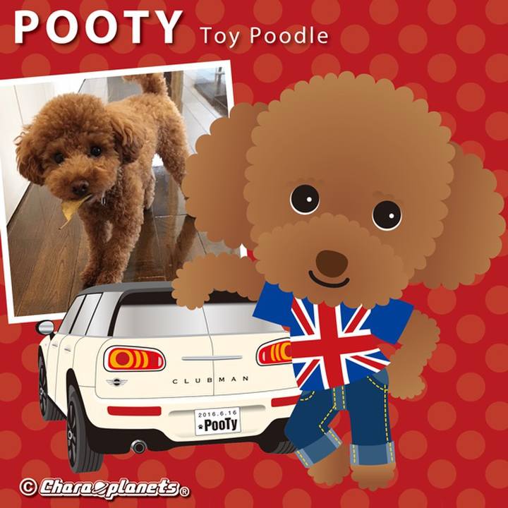 F9ada6a9 d517 4a26 90b1 f20b9bb1e444 1560652723949