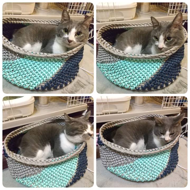 F9adb70f e59a 46fa 8e89 e72db6d116aa 1642421190906