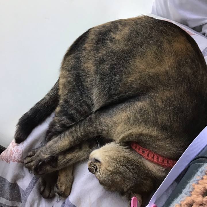 F9ade623 dcb8 4c49 8e6c 25acbc1a11e2 1628056463840