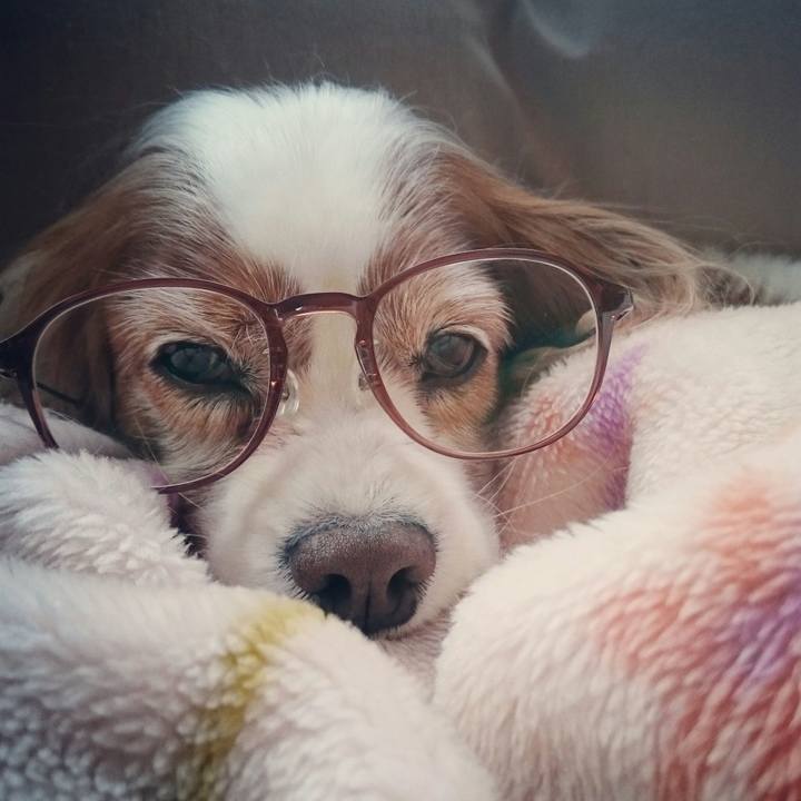 F9ae0796 acb4 44c9 9214 ccae247d1033 1551051562063