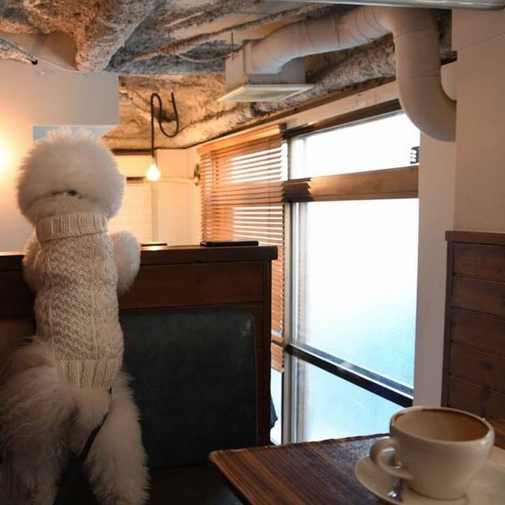 F9ae0b9e 55bb 49ff b6be 1423d84c46e2 1519043036180