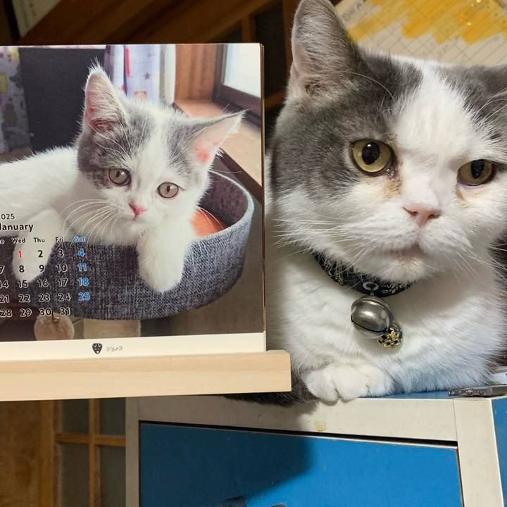 F9ae16fb 2164 40c8 b171 37fd6cef0c35 1736344632948