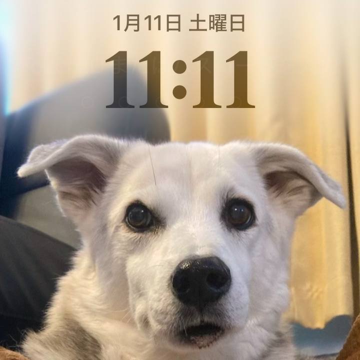 F9ae346a f1cf 407d 9564 078fe0676e06 1736604790044