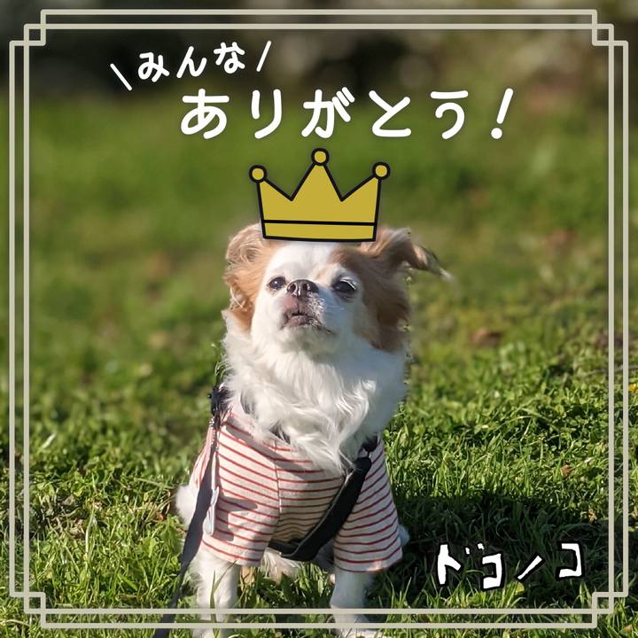 F9ae3a5f 95e9 4a78 a554 13970ffccd30 1622887647709