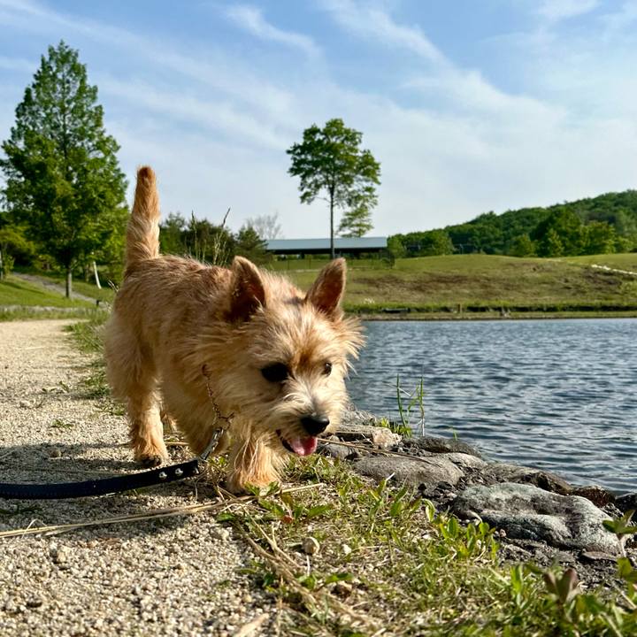 F9aea201 0759 400e ace2 199113a0ae34 1717075638346