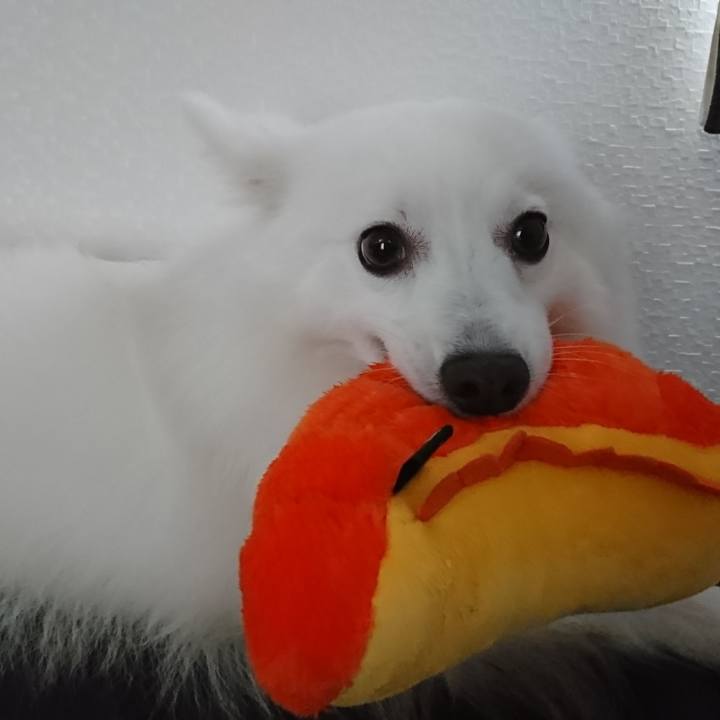 F9aebdcc 5e5a 4466 a5e2 70f392268ab3 1561516905330