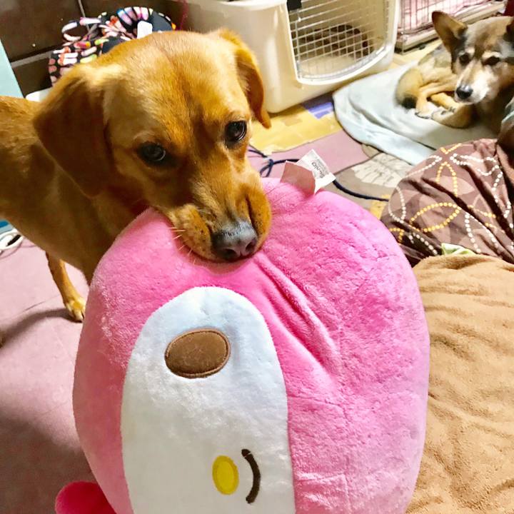 F9aee766 72ae 4367 9859 b031248c20e1 1519386443457