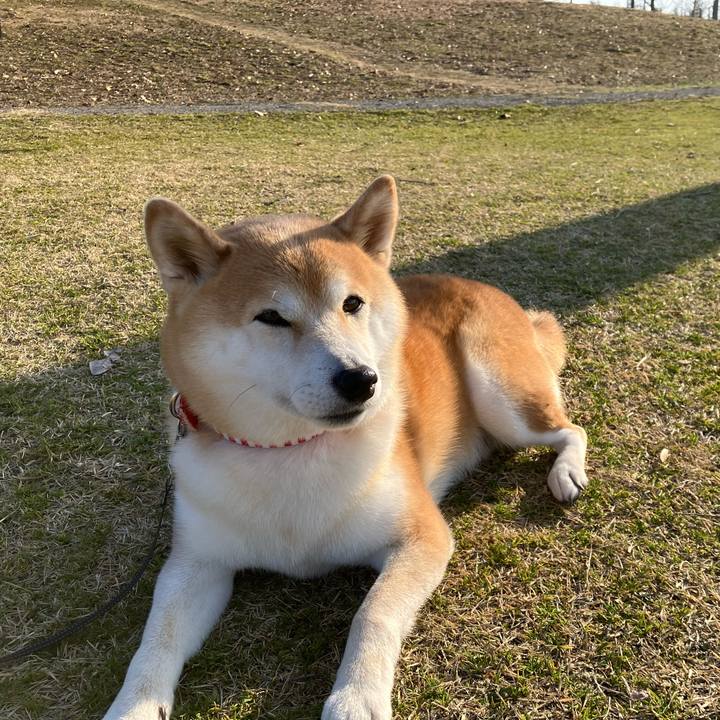 F9af2882 6566 4238 ba9f 19249ef43a6b 1771230540270