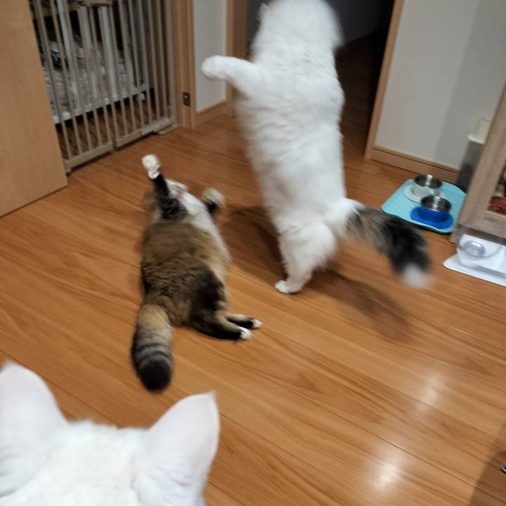 F9af5a51 832f 4597 a34a c8cff0a6d8c7 1772961310361