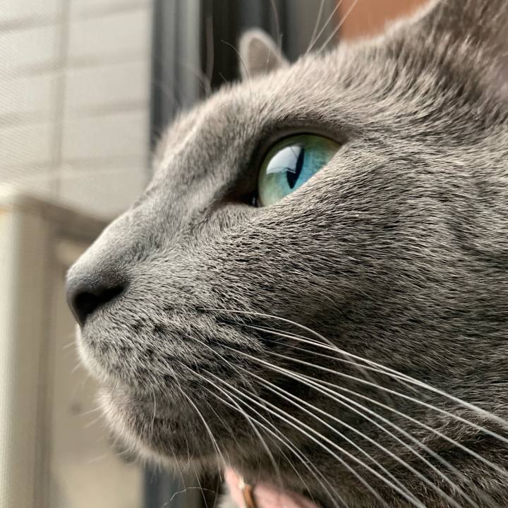 F9af81e8 500a 4c59 a2dc be0486326aa1 1571469605205