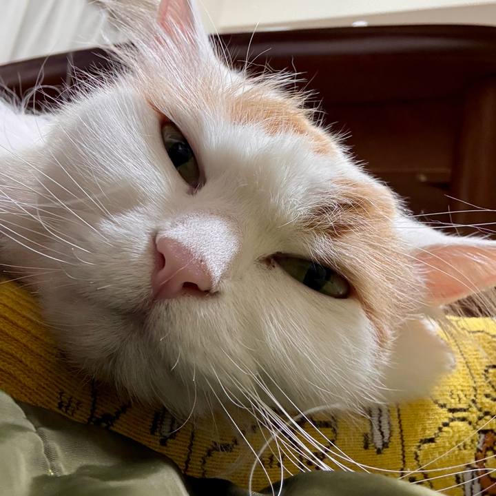 F9af8b9d dfef 41bc 9d7f b3fd01a62b8e 1775740559575