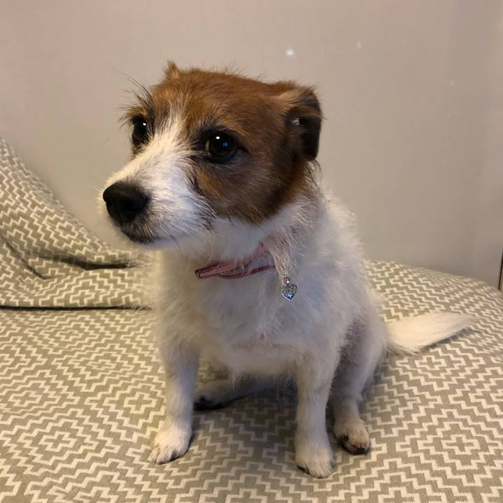 F9afb2eb 7d02 4c9e 8ab1 2a2ef8307237 1612786249509