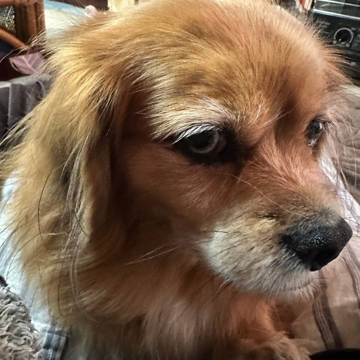 F9afdced 60a8 4549 b7d4 d9c8af5b54f5 1764626721185