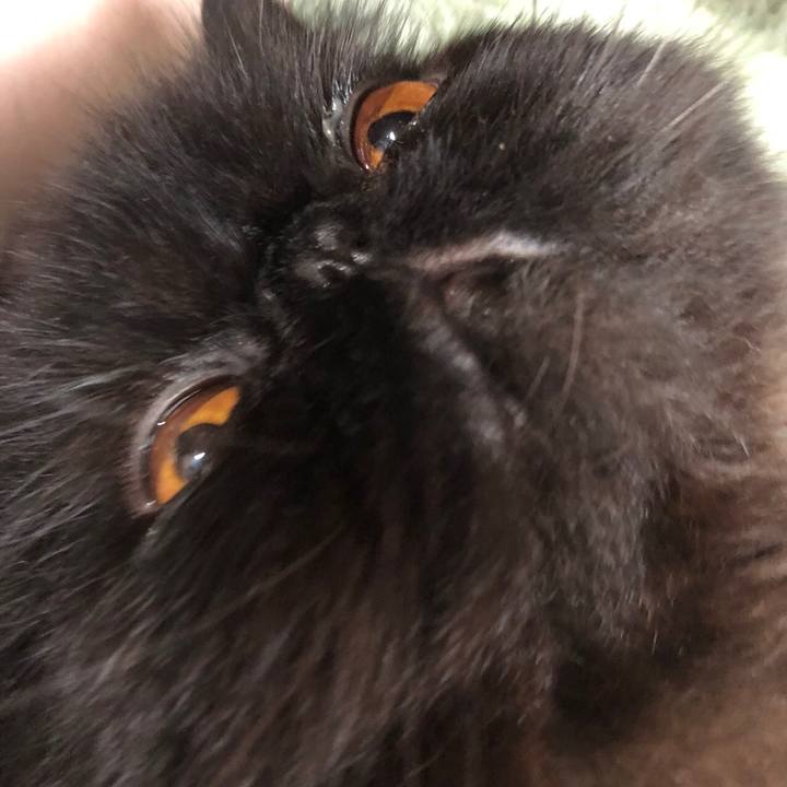 F9afe474 dcea 427f a5d2 a6b9143a0726 1634362732058