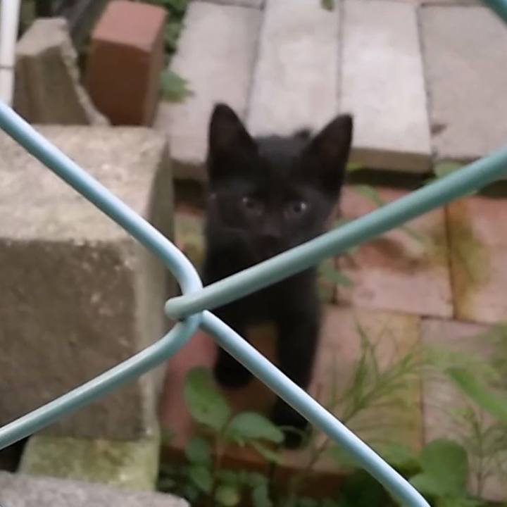 F9b008ec d47d 4d26 855d 0f6347921963 1527983298141