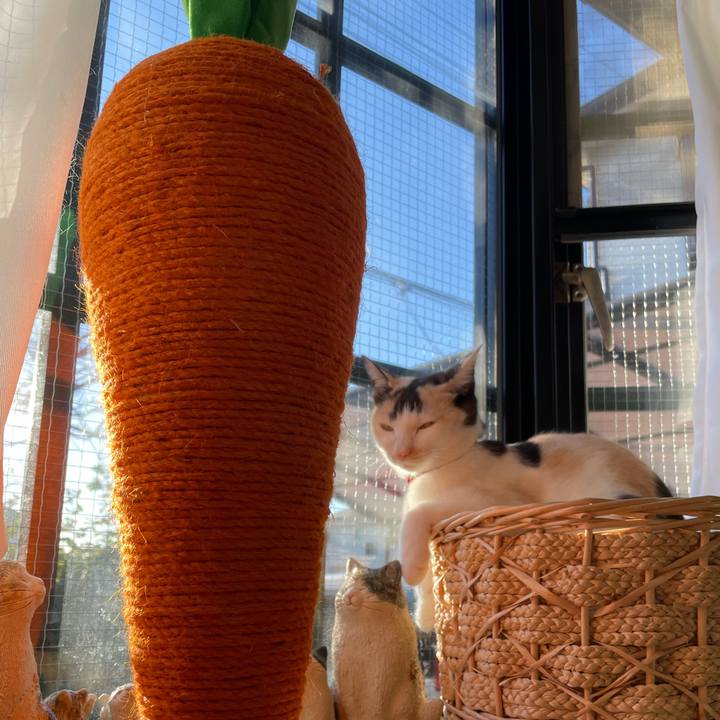 F9b033e4 ff24 4519 bbe8 ea6c730a4105 1704410182137