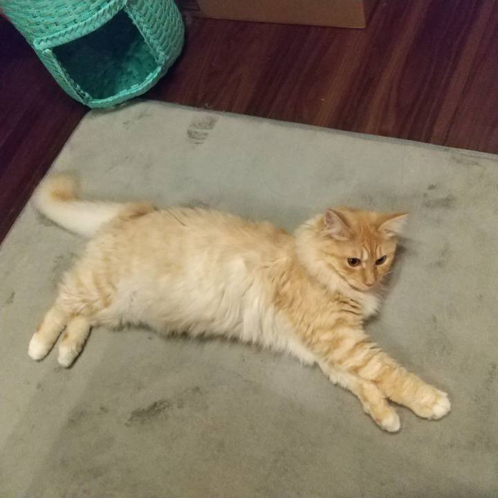 F9b047b5 3a37 4985 923d cb4b901653ce 1625828354468