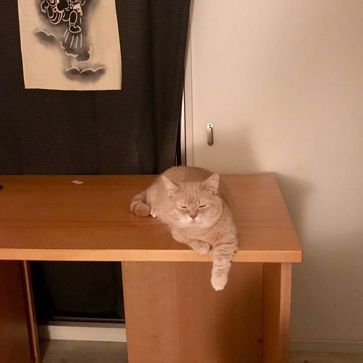 F9b052ae 7b85 471a 9adb 8746b34b8fce 1559458061707