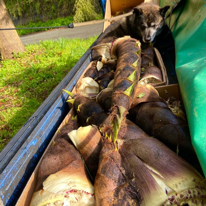 F9b08dc1 aeaa 4cd0 8f2d 53e4be1baeef 1651538523950