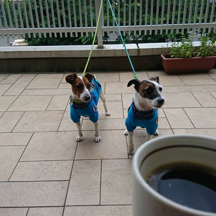 F9b0b4ad 0af7 413d b5b3 9516d1bf4b61 1560235649261