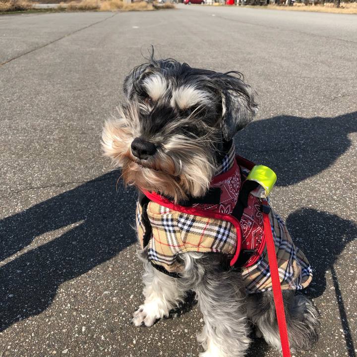 F9b115da 641e 4bc7 818d ea21e7f24efe 1582528610850