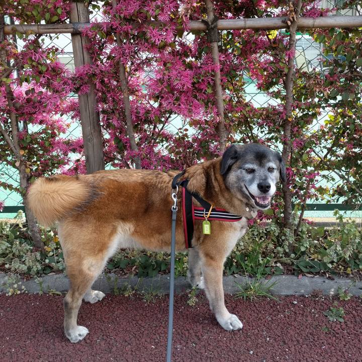 F9b116bc 2cd9 414c 9b3b c5e1e80b9cdc 1522718587482