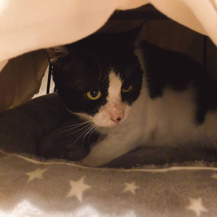 F9b142c7 621b 449c bedf 7bf1103fc812 1638264826341