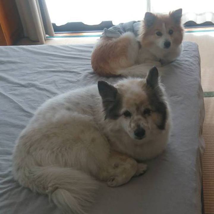 F9b167a4 e07b 4739 9945 82a183180555 1646830303045