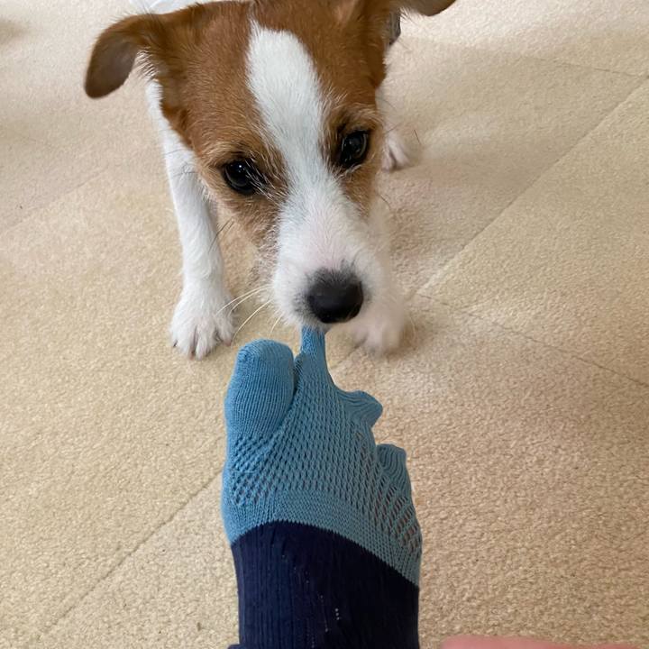 F9b1833d 67a5 4ede 977f 131599266f2e 1625447079001