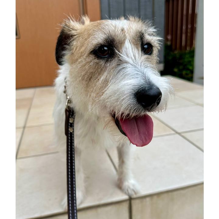 F9b1d891 c6d0 4fb4 991a 118a096eab67 1747341956838